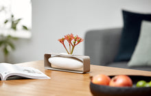 Load image into Gallery viewer, Float Vase - Lateral