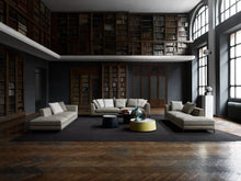 Load image into Gallery viewer, Ray Sofa - Antille Light Grey