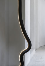 Load image into Gallery viewer, Vis a Vis Floor Lamp - black