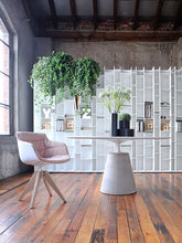 Load image into Gallery viewer, Random 5C Bookshelf - white