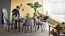 Load image into Gallery viewer, Softshell Chair - plano grey stone
