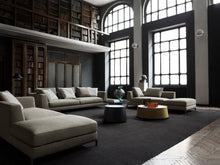 Load image into Gallery viewer, Ray Sofa - Antille Light Grey
