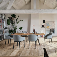 Load image into Gallery viewer, Softshell Chair - plano grey stone
